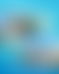 🌊 Waterfront Crush Wednesday 🌅 December 17th