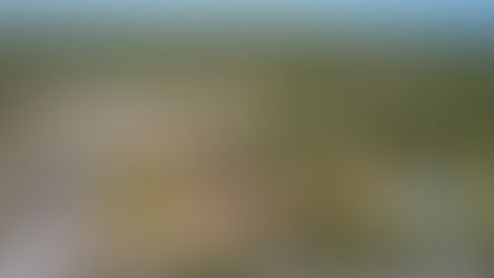 2594 Bellamy Drive, Supply- SOLD