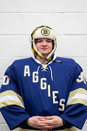 UCDIH Logo Transparent No Text_edited_edited.png