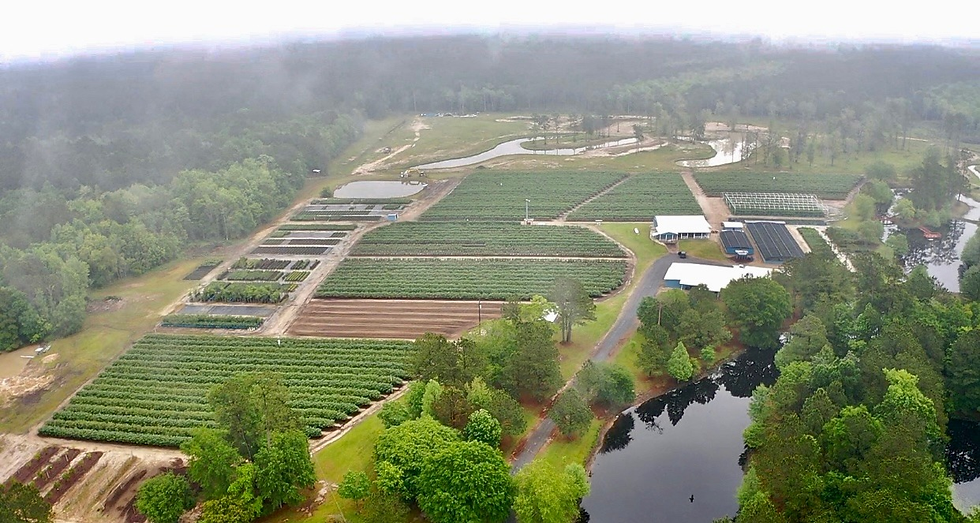 Creekwood Farms