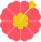 flower.webp