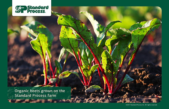 farm-photo-1140px-19.jpg