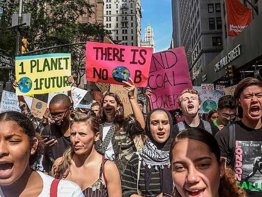 Adidas to the end plastic by 2024 !