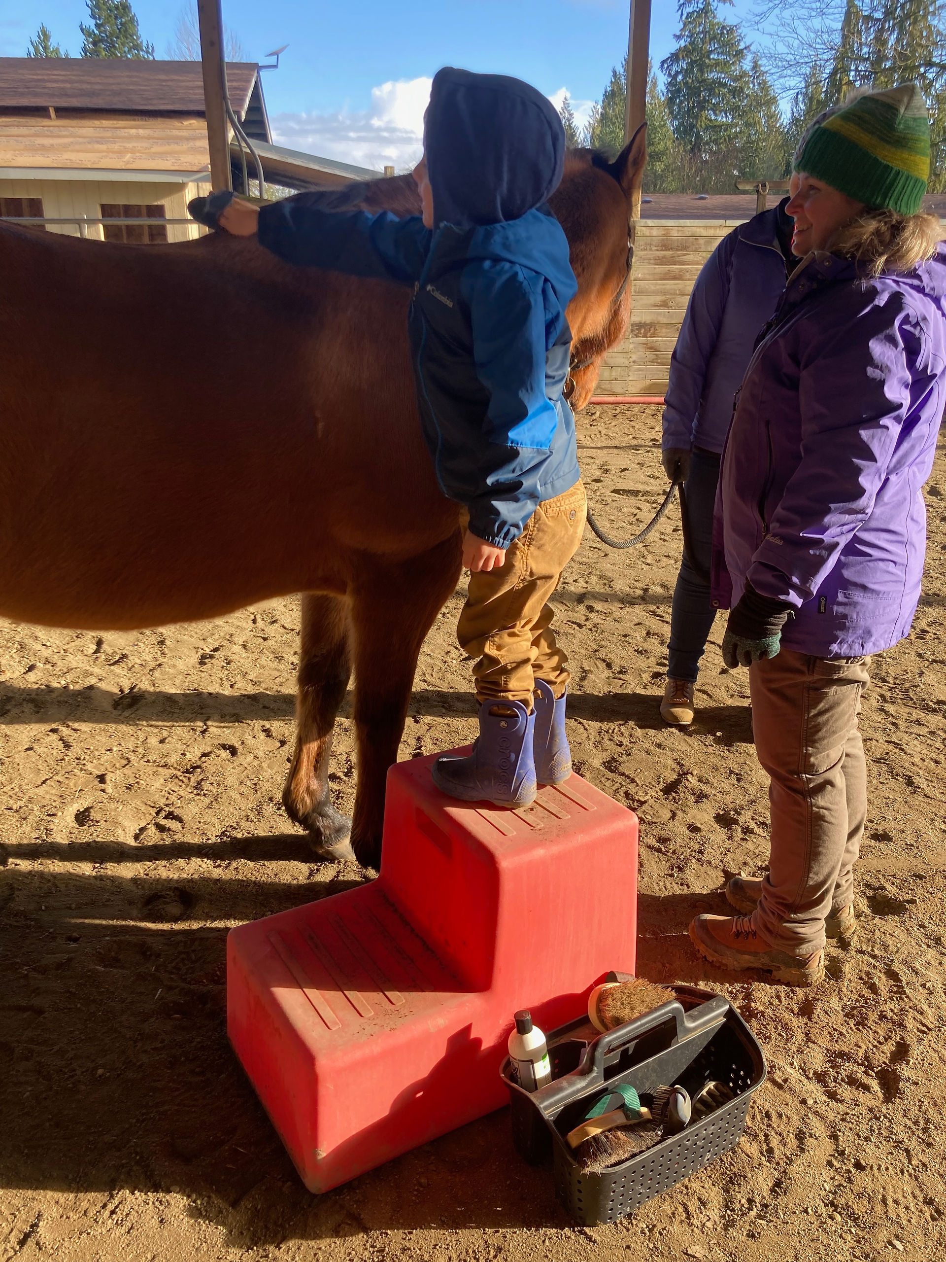 A kid on steps is trying to brush the mane of a horse with an instructor nearby smiling.
