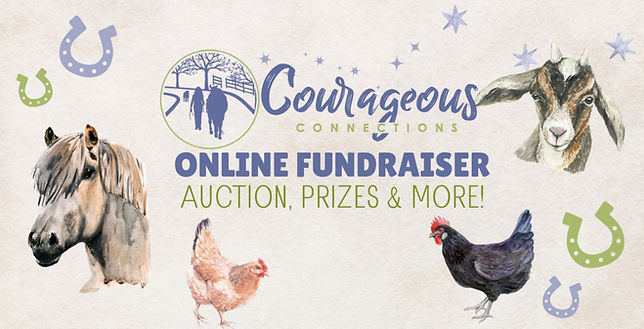 BBB Auction Image .jpg