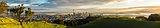 Digital Marketing Services BSM Digital high Res.jpg