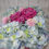 Thumbnail: Blue and pink flower box