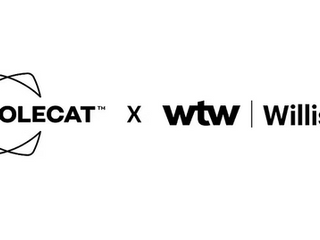 Willis launches market-first Reputational Risk Quantification Model - Powered by Polecat