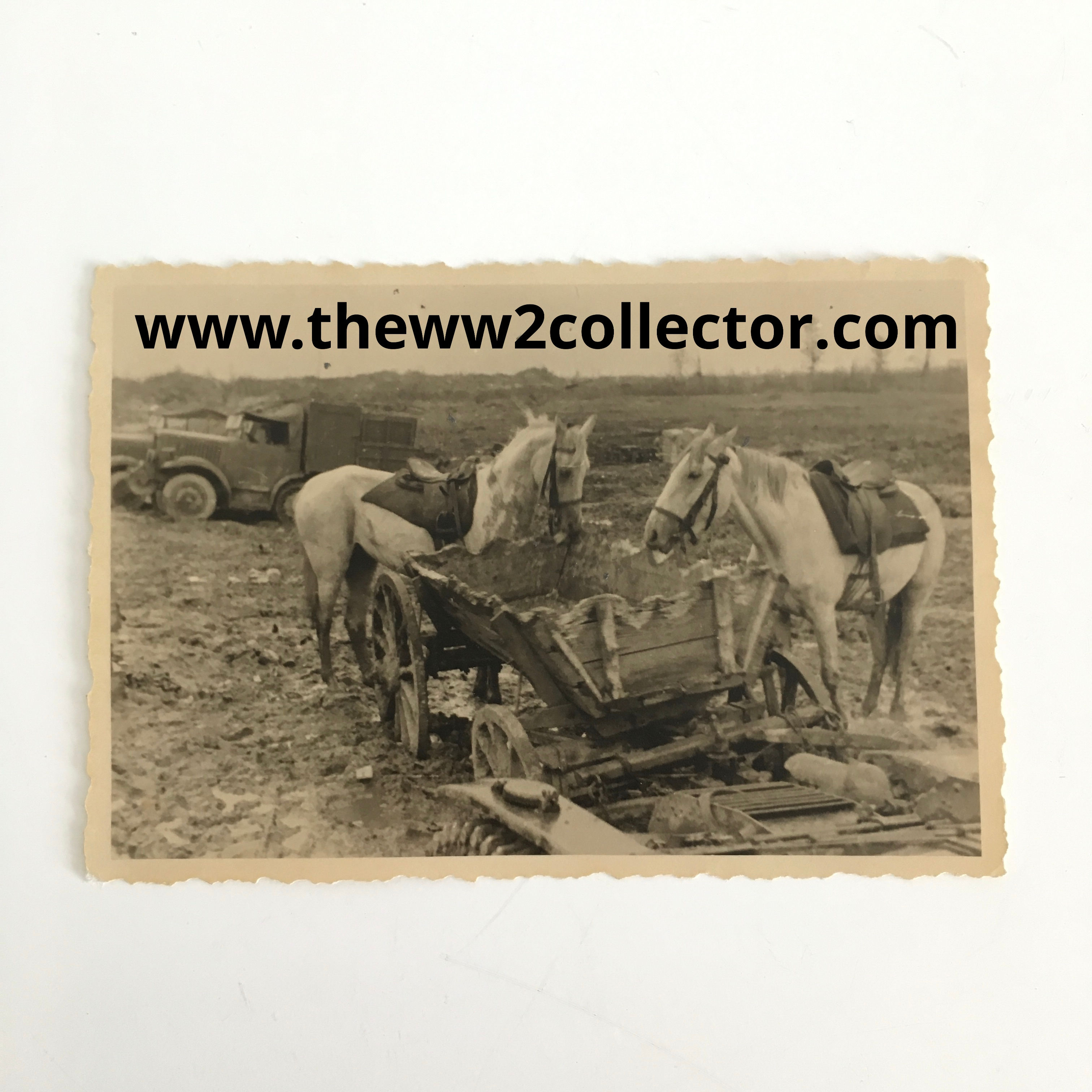 Leningrad terrible picture 