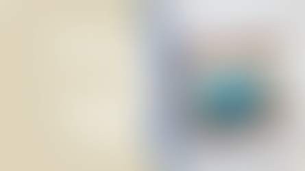 A famosa bolsa das tolhitas 👝🍼