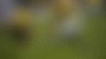 Match Report - Hungerford Town