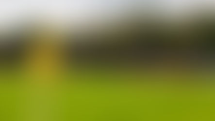 Tiverton Town: the Future