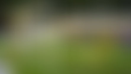 More at Stake Than Trophy