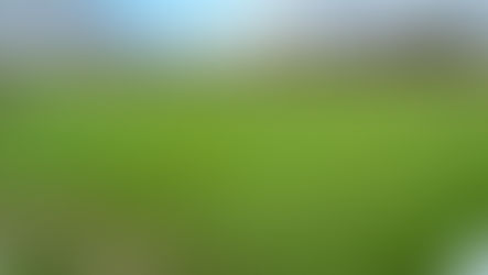 The Fine Art of Surfacing