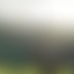 John Ross limits Berkhamsted to three.