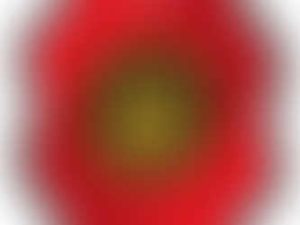 We Will Remember Them