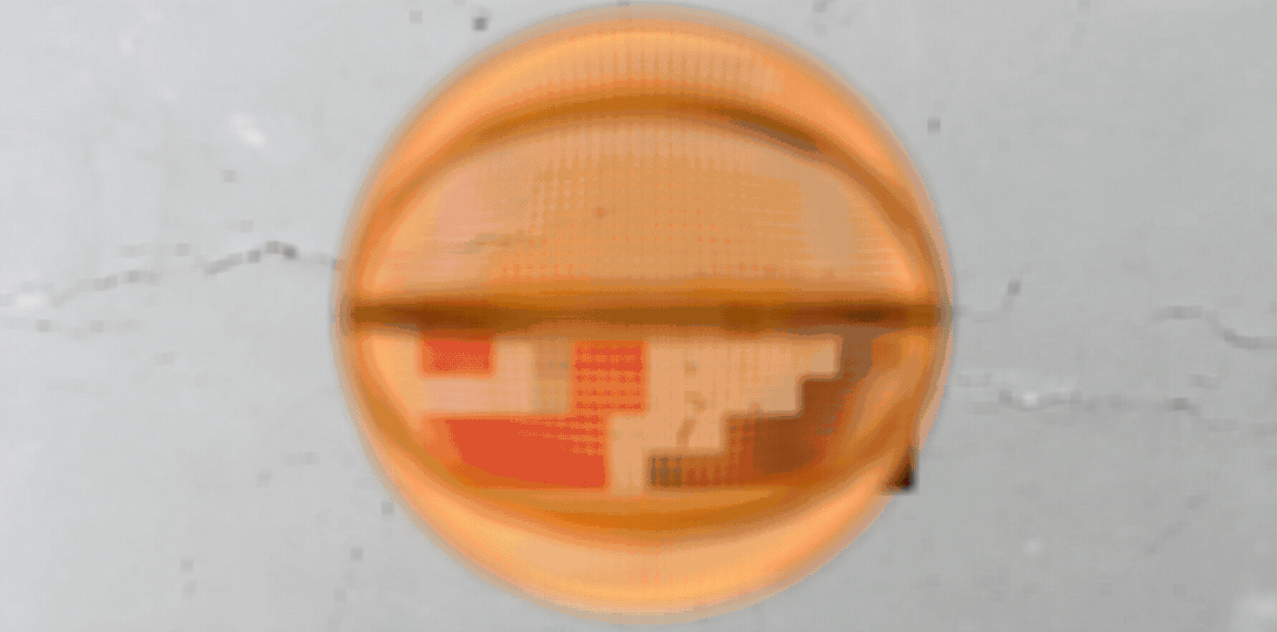 Comp_10.gif