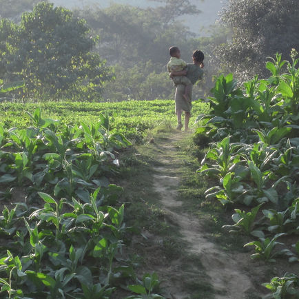 God's Call and God's People (Lesson 5.2)