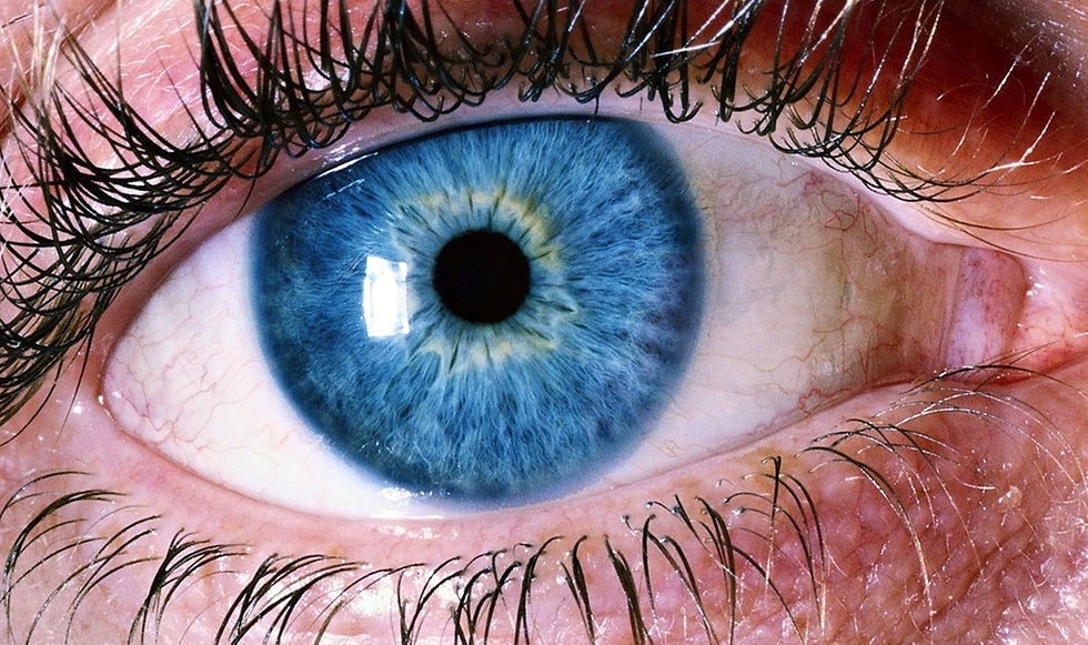 Thumbnail: Iris Illume Innovative Eye Color Changing Drops in Sapphire