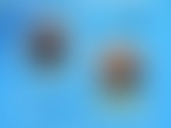 Pré-Réveillon 2025