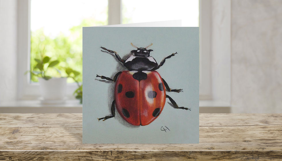 Thumbnail: Greetings Card, Ladybird