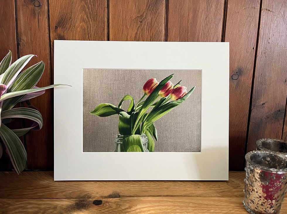 Mounted Medium Giclee Print "Red & Yellow Tulips"