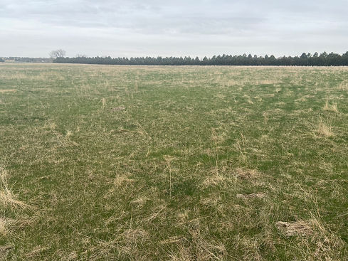 Former Cropland restored to grazing paddocks - Carpenter Ranch_.jpg