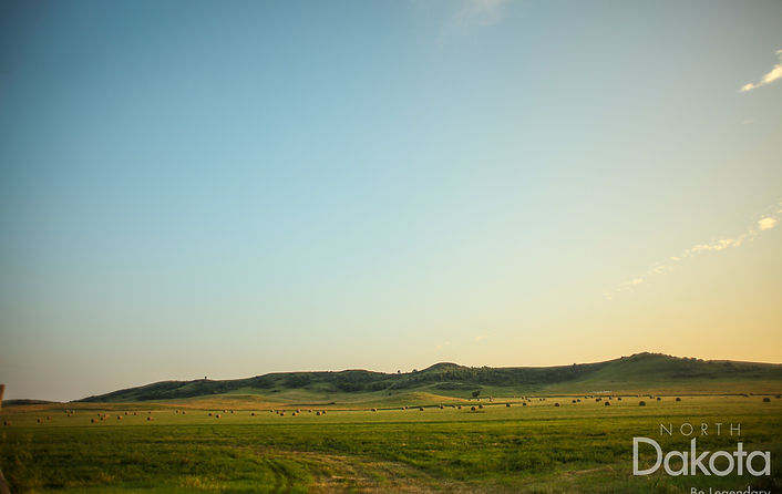 North Dakota Hay Pasture