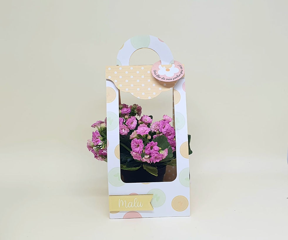 Caixa-Bolsinha-Mini-Vaso