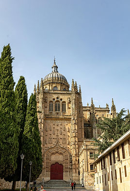 WhatsApp Image 2025-02-18 at 10.39.09.jpeg