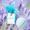 Thumbnail: Relax/Calming Luxury Lavender Bath Bomb