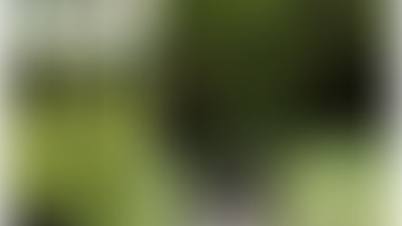 Puss In Boots: the Original Fairy Tale