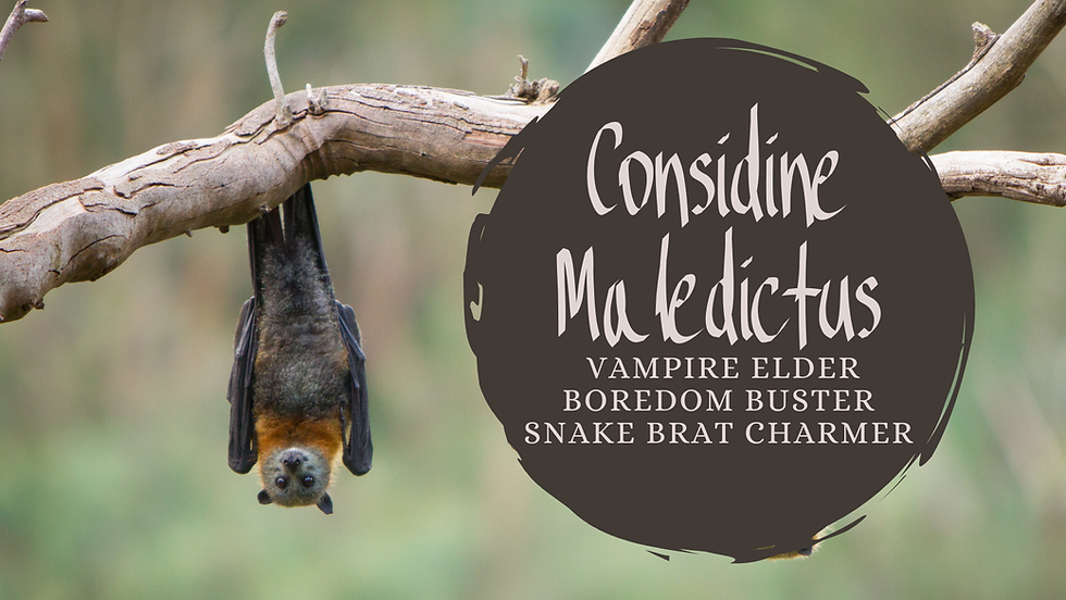 Character Profile: Considine