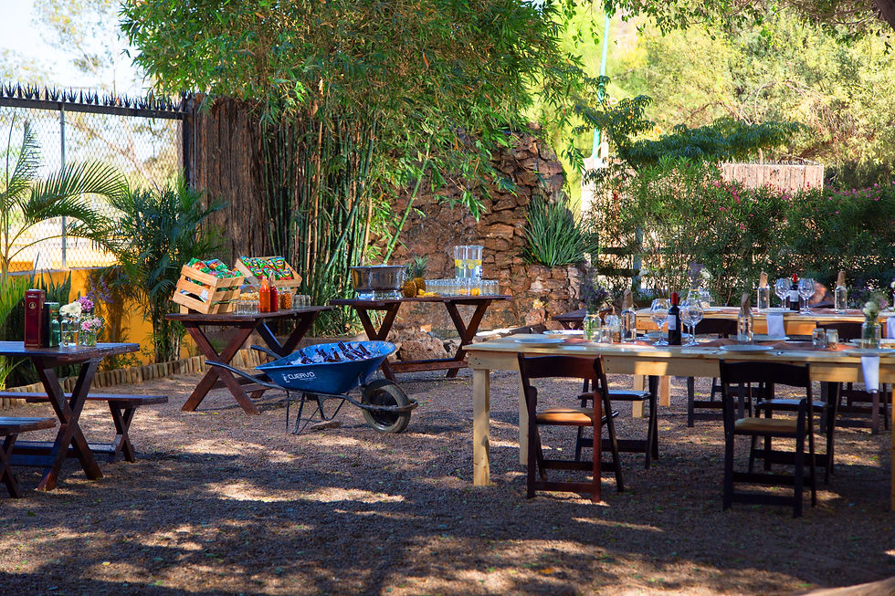 Mesas, Botanas, Refrescos.jpg