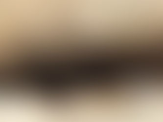 FOLLIA – PATRICK MCGRATH