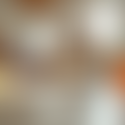 Why Choose Miami's Premium Dog Daycare Services