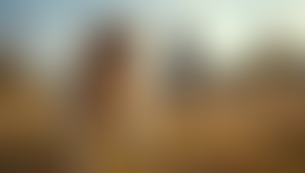 Understanding the Cost of Dog Training: What You Need to Know