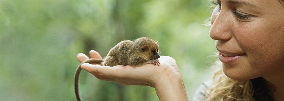 CLOSED - My Wild Life with Explorer Mireya Mayor - Fox Valley PAC