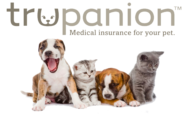 Introducing 30 Days of Free Pet Insurance with Trupanion for Our Puppy Buyers!