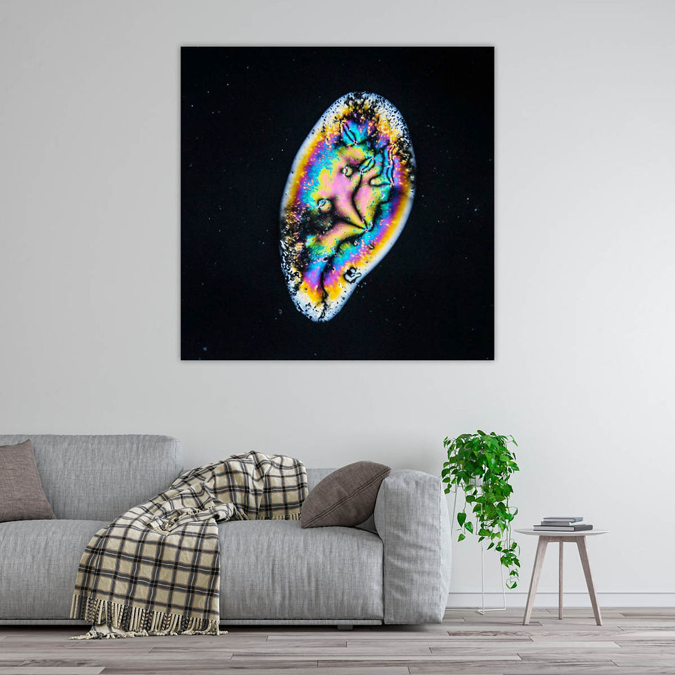 Thumbnail: Nematic Slug, Alexandre Darmon