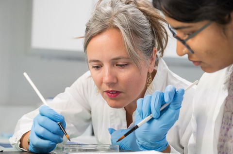 Photographie dans le laboratoire d'un lauréat du Prix Bettencourt prise par Alexandre Darmon pour l'agence Art in Research (AiR)