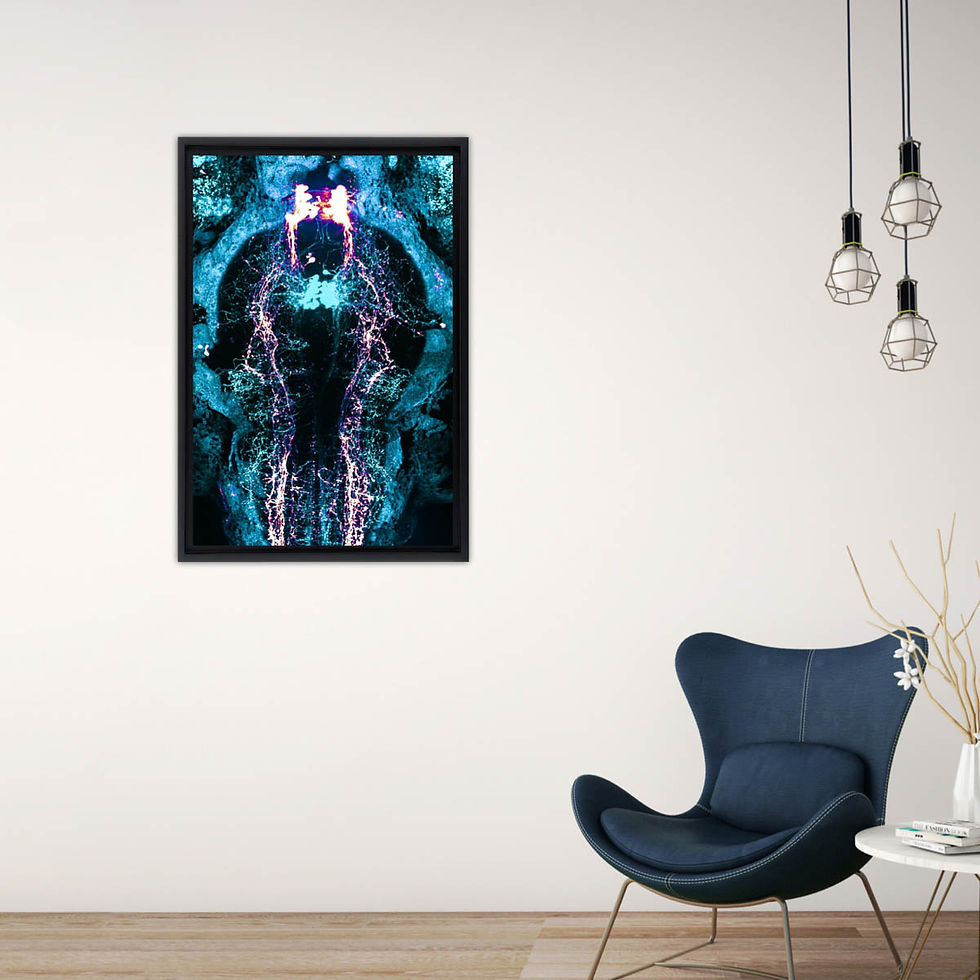 Miniature : Neurones en Lumières II, Claire Wyart et Martin Carbo-Tano