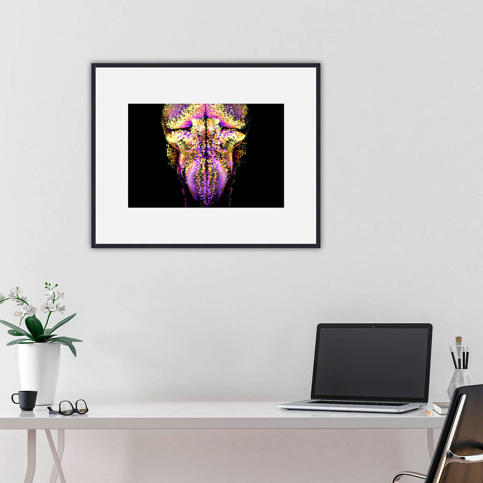 Miniature : Neurones en Lumières I, Claire Wyart et Kristen Severi