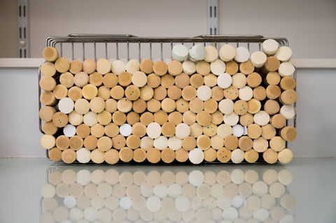 Photographie dans le laboratoire d'un lauréat du Prix Bettencourt prise par Alexandre Darmon pour l'agence Art in Research (AiR)