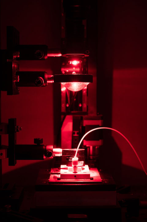 Photographie dans le laboratoire d'un lauréat du Prix Bettencourt prise par Alexandre Darmon pour l'agence Art in Research (AiR)