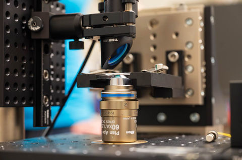 Photographie dans le laboratoire d'un lauréat du Prix Bettencourt prise par Alexandre Darmon pour l'agence Art in Research (AiR)
