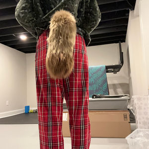 Howlett {Paws + Tail}