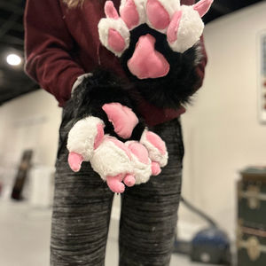 Rachel - Paws