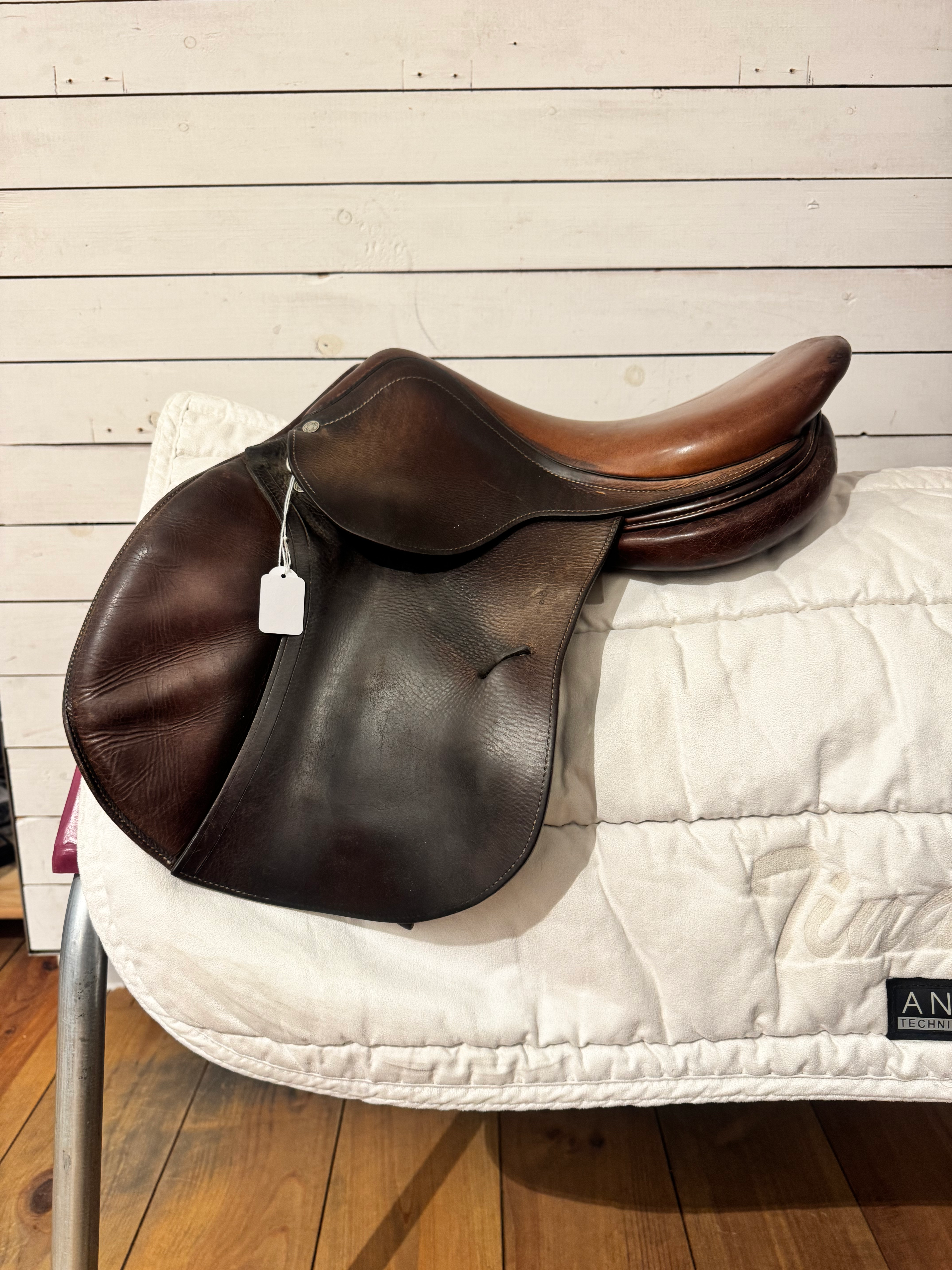 Antares pony 15,5”/M