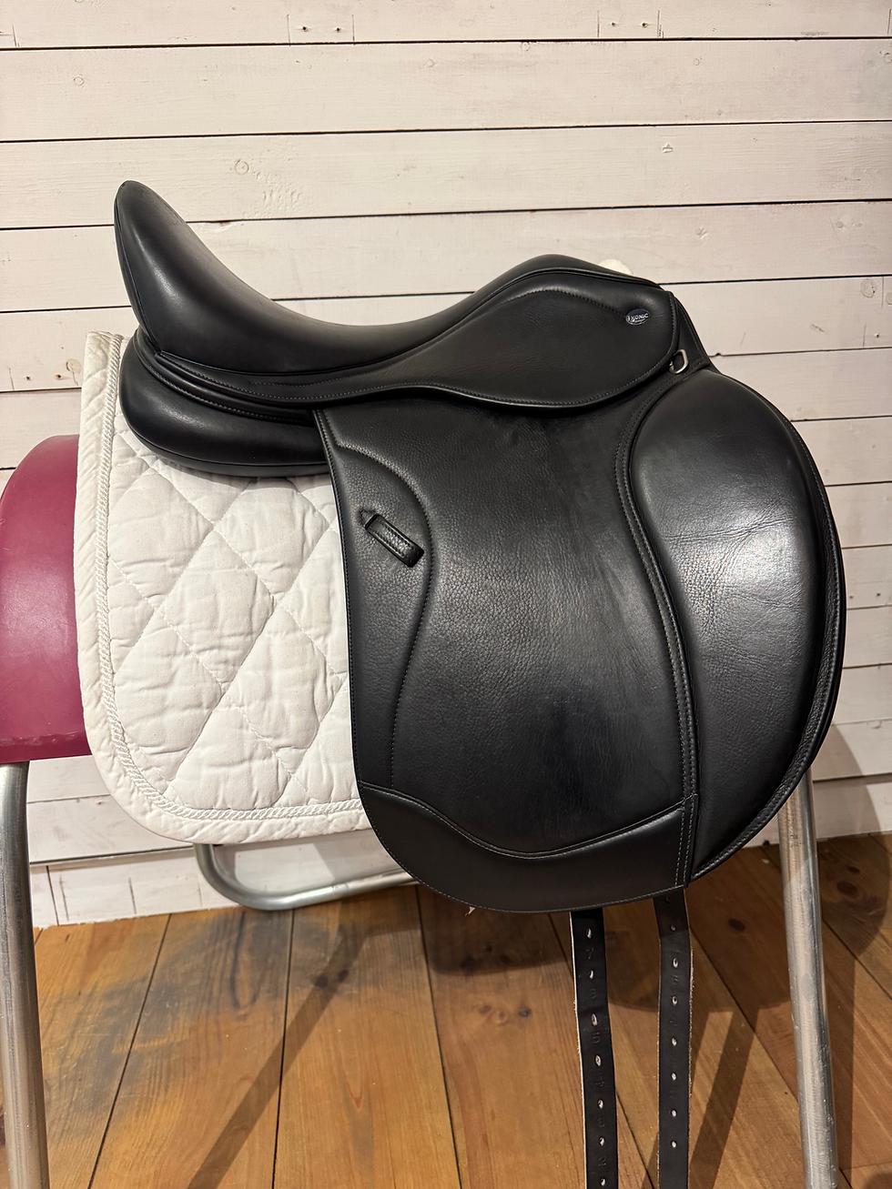 Thumbnail: Ikonic Light 17,5”/verwisselb. 